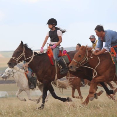 HorseMongol's profile picture. 世界ではブリティッシュやウェスタンが主流となっている。🐴しかし、モンゴルや中央アジアの#騎馬民族 はもっと長い乗馬の歴史と文化を持つ。騎馬遊牧民の素晴らしい乗馬文化を世界に広げ、“人馬一体”🏇とも言えるモンゴル乗馬を体験して頂きたい。24年間の安全事績と共に、#縦横無尽に駆け巡る #乗馬本来の喜びを味わってほしい。