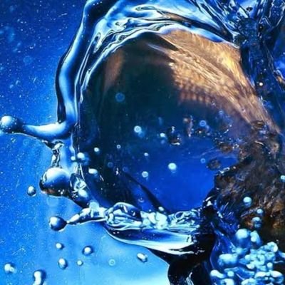 aLPtQ6M2e1yjkV1's profile picture. よろしくお願いします