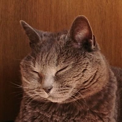 すろーす 炭酸水依存症 たしか 名古屋の吹上ホールだった あの時は入場チェックもなかった ルールが厳しくなくても 全ての人が最低限の思いやりをもった世の中がいいな 無理だろうけど