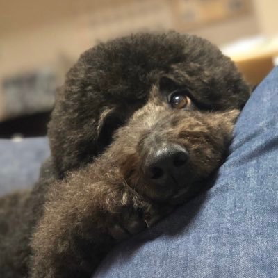 OKaP_H's profile picture. エスパルスと映画. I guess it comes down a simple choice: Get busy living, or get busy dying. 「必死に生きるか、必死に死ぬか」