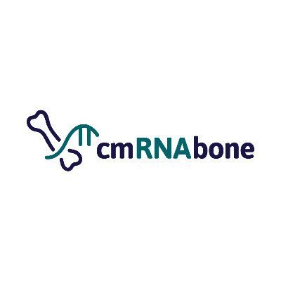 cmRNAbone Profile