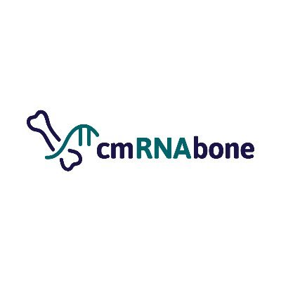 cmRNAbone is an EU-funded research project working on a novel gene therapy for bone regeneration. Funded under Horizon 2020 (GA-No 874790).