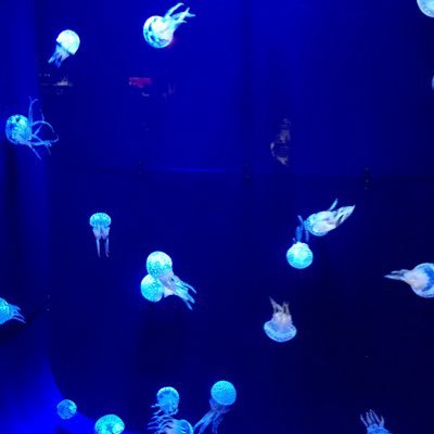 0909mdf's profile picture. 