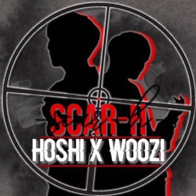 호우 중국 팬사이트 🚨 Chinese Fansite for Hoshi x Woozi