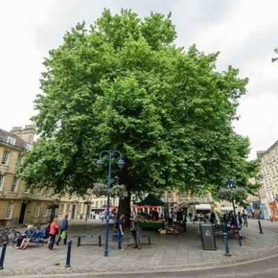 Kingsmead Square Bath