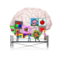 OxfordBrainStory (@oxbrainstory) 's Twitter Profile