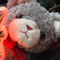 葉月 (@hazuki_rngn) 's Twitter Profile