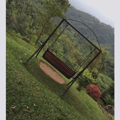 lpdt202_fmst's profile picture. 💕