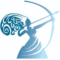 The Diana International Research Institute (DIRI) (@babsondiri) 's Twitter Profile