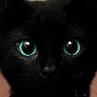 浜地まぐろ (@tuna_hamachi) 's Twitter Profile Photo