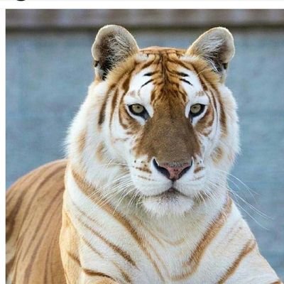 MuhammadArishR2's profile picture. Muhammad Arish Raza