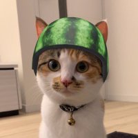 コムギと卍丸(まんじまる)とのりまきとおむすびとおはぎ (@komugi56285) 's Twitter Profile Photo コムギと卍丸(まんじまる)とのりまきとおむすびとおはぎ (@komugi56285) 's Twitter Profile Photo