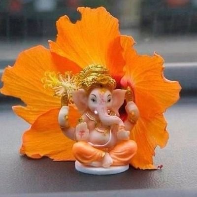 Shivani_Tiwari5's profile picture. ☮️ 🚩