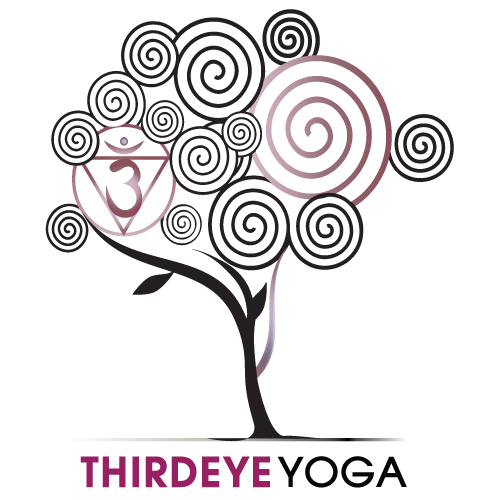 ThirdEyeYoga features a unique blend of flow, form & fun. Check us out at http://t.co/SqupZqS0xR