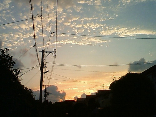 queen_rosetea's profile picture. すきなもの

ハーブ（最近はミント！）　薔薇　チョコレート　紅茶
お酒　夕焼け　空　雲　冬の空気　秋の風　ひなたぼっこ
桜　梅　白木蓮　月
雑貨　楽器　アンティーク

好きなものを、季節季節に堪能できる・・・
もっと生活に余裕がほしいですね～