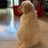 Addie___diary's profile image