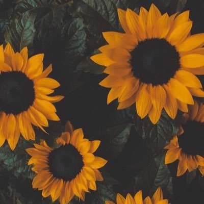 rm_cs1's profile picture. 