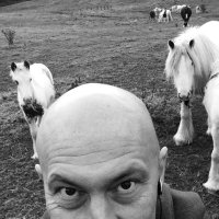 Seán Gibson (@thenarraback) 's Twitter Profile Photo Seán Gibson (@thenarraback) 's Twitter Profile Photo