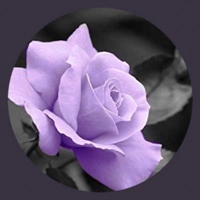 r_jeena's profile picture. Professional dreamer, Amateur ranter |blogger | ambivert | avid bubble tea drinker - twitter is used as my memo pad