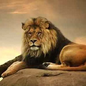 AmiProd1's profile picture. Entertainment Music-Arts-Events