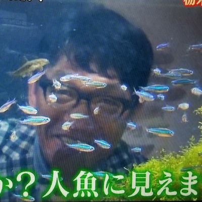 apcid4129's profile picture. 万年五月病