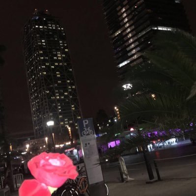 sabraa15's profile picture. ||🇲🇦 ||