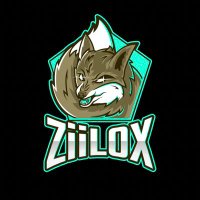 ZiiL0X (@ziil0x_) 's Twitter Profile