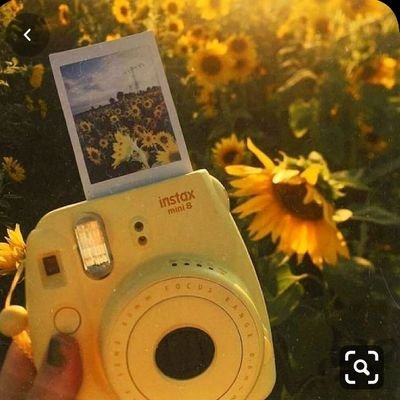 sunny_tippss's profile picture. 