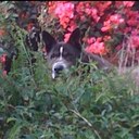 Eric Gordon - @caconofix - Twitter