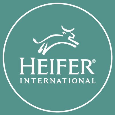 HeiferLabs's profile picture. 