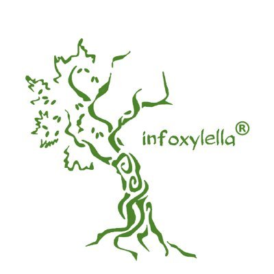 infoxylella.it
