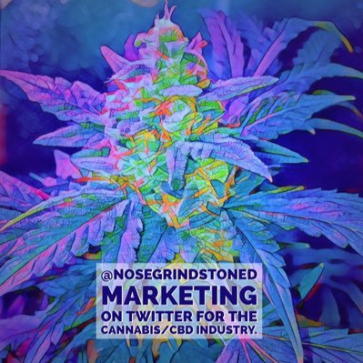 Effective Social Media Growth Marketing/Promo for Cannabis Companies & Marijuana 420 THC CBD Cannabiz Industry! Try before paying. Contact through website.