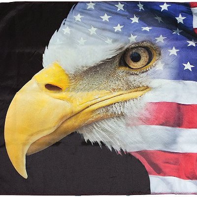 I am old enough to remember the days when most Americans hated Nazis and wouldn't want Jesus deported. #FuckMAGA #MAGAsAreNotChristians