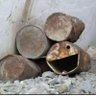 Nsaharan7's profile picture. I am a banker 
I am underpaid