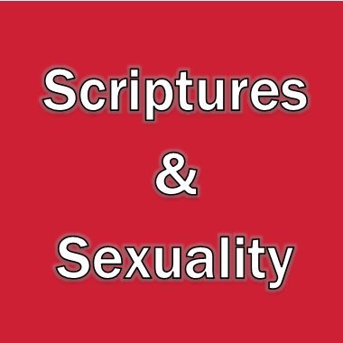 Solent University Scriptures & Sexuality and Human Library projects