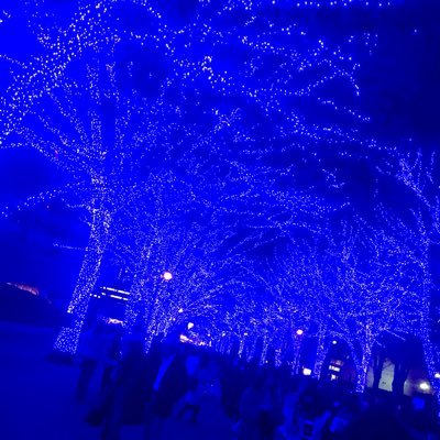 NKdfZT1FgvcYuXN's profile picture. 慶應経済  A方式、ドイツ語、1組です！よろしくお願いします