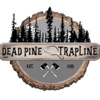 Dead Pine Collective(@DeadPine57) 's Twitter Profile Photo