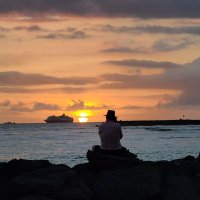 Barbara Schweihs (@schweihsbarbara) 's Twitter Profile Photo