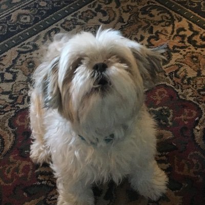 Tbyte15's profile picture. 