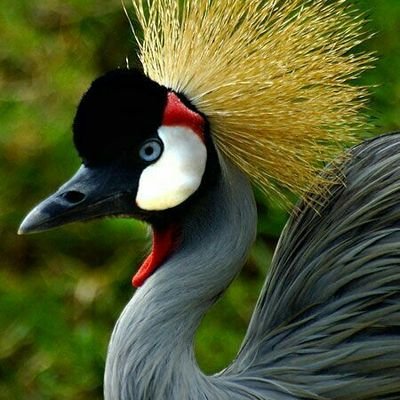 ncathyug's profile picture. 