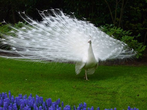 lsenier's profile picture. 