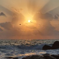 عامر المحرزي (@ameralmahrazi) Twitter profile photo