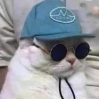 SANE_RAYG's profile picture. Pandas are my life and video games are pretty