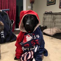 Tucker Snyder (@dadcoach8) 's Twitter Profile Photo