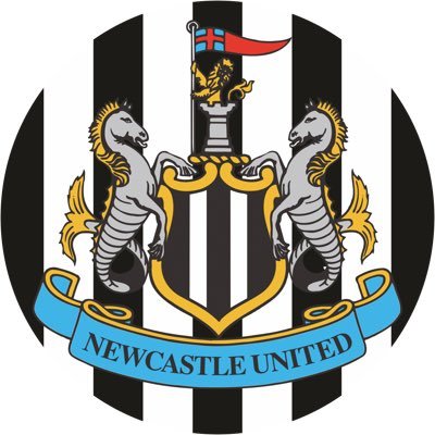 Page for Newcastle fan’s to unite together