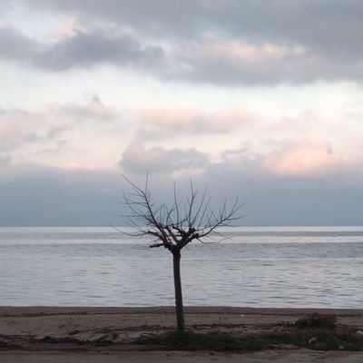 Nick_Kaiafas's profile picture. Financial economist and Historian