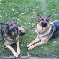 Christoph Menke (@chr_mnk) 's Twitter Profile