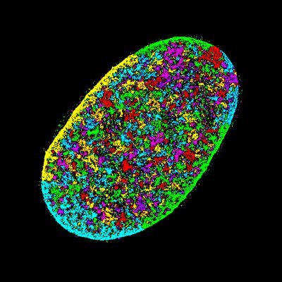 Fun Lab for Nuclear Mechanobiology and Tissue Engineering for Musculoskeletal Repair @McKayLaboratory in the Dept. Orthopaedic Surgery @Penn (led by @SuChinHeo)