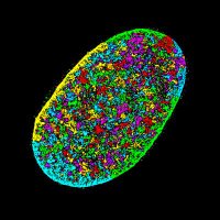 The Heo Lab (@heolab) 's Twitter Profile Photo The Heo Lab (@heolab) 's Twitter Profile Photo