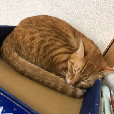 やまみちさんのプロフィール画像